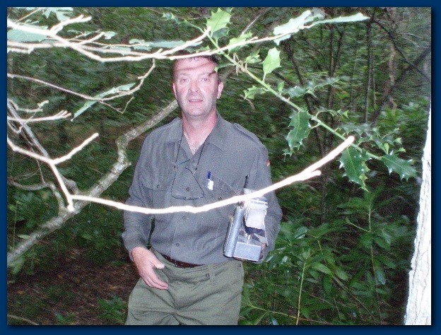 600x449 pixels (167K)